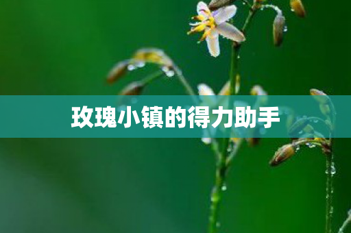 玫瑰小镇的得力助手图片