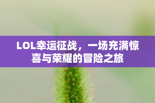 一场充满惊喜与荣耀的冒险之旅图片