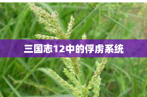 三国志12中的俘虏系统图片
