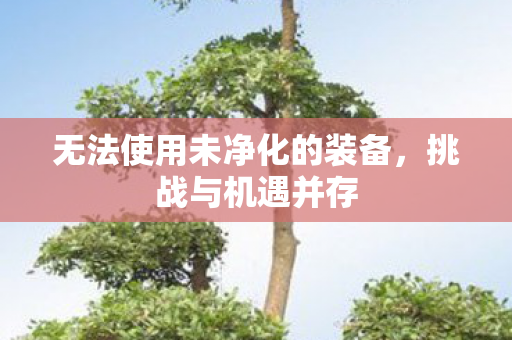 无法使用未净化的装备图片