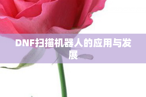 DNF扫描机器人的应用与发展图片