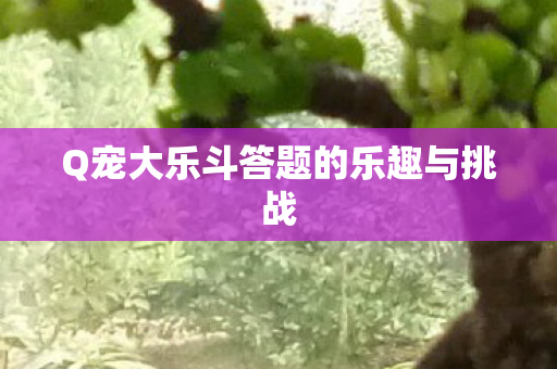 Q宠大乐斗答题的乐趣与挑战图片