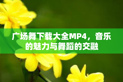 音乐的魅力与舞蹈的交融图片