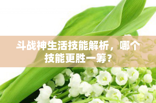 斗战神生活技能解析图片