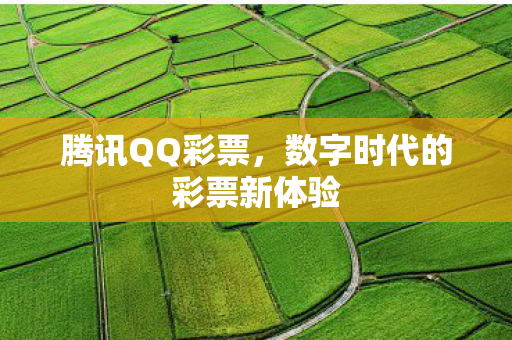 数字时代的彩票新体验图片