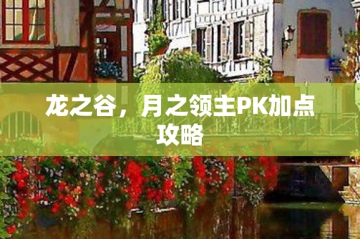 月之领主PK加点攻略图片