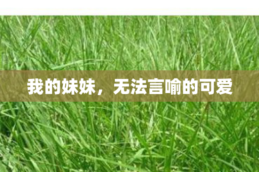 无法言喻的可爱图片
