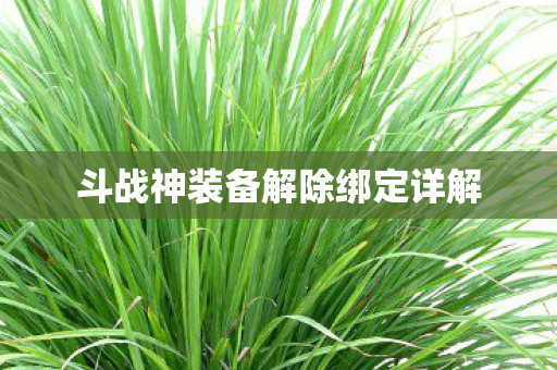 斗战神装备解除绑定详解图片