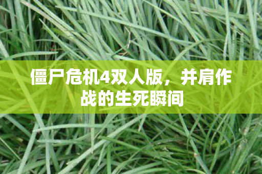 并肩作战的生死瞬间图片