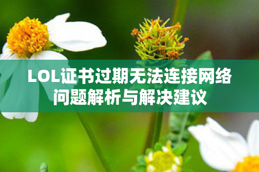 LOL证书过期无法连接网络问题解析与解决建议图片