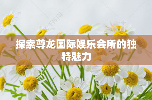 探索尊龙国际娱乐会所的独特魅力图片