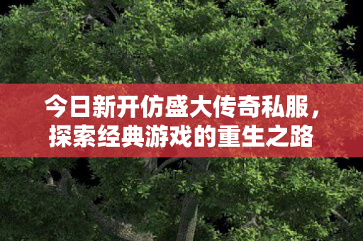 今日新开仿盛大传奇私服图片