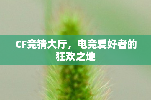 电竞爱好者的狂欢之地图片