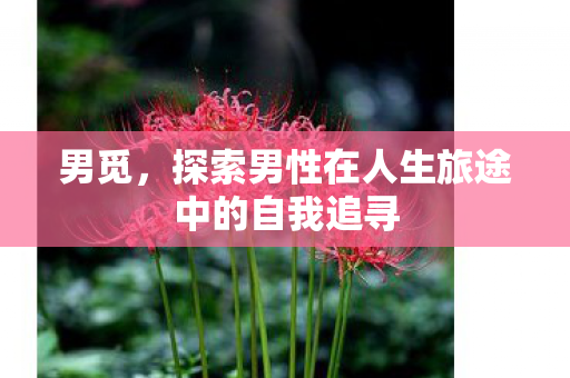 探索男性在人生旅途中的自我追寻图片