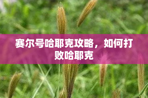 赛尔号哈耶克攻略图片