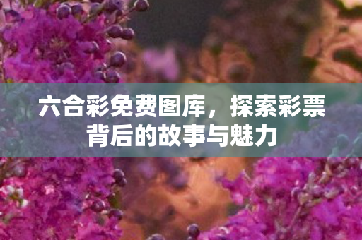 探索彩票背后的故事与魅力图片