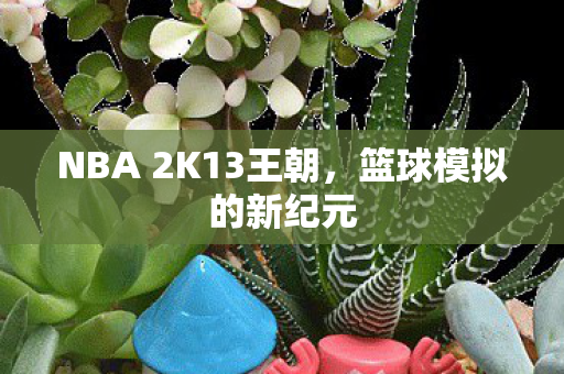 NBA 2K13王朝图片