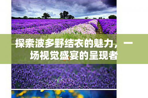 探索波多野结衣的魅力图片