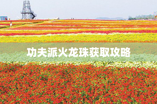 功夫派火龙珠获取攻略图片