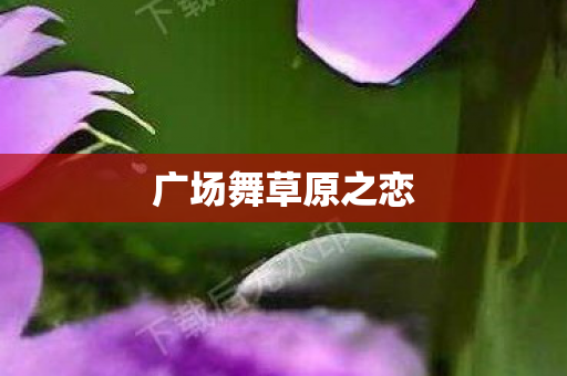 广场舞草原之恋图片