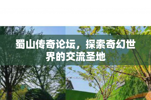 探索奇幻世界的交流圣地图片