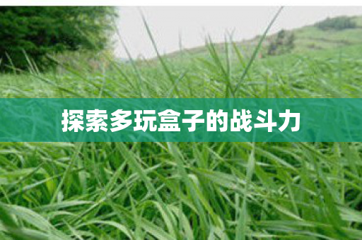 探索多玩盒子的战斗力图片