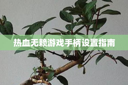 热血无赖游戏手柄设置指南图片