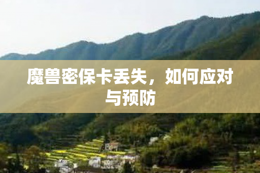 魔兽密保卡丢失图片