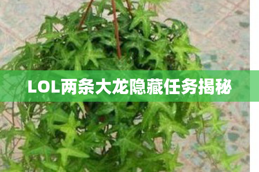 LOL两条大龙隐藏任务揭秘图片