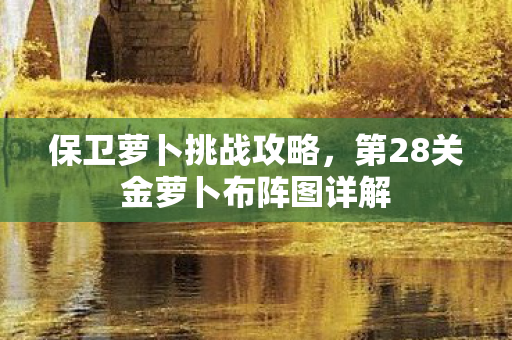 第28关金萝卜布阵图详解图片