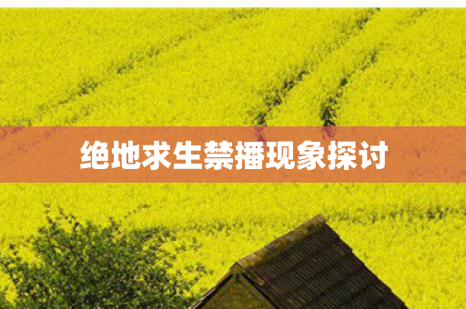 绝地求生禁播现象探讨图片