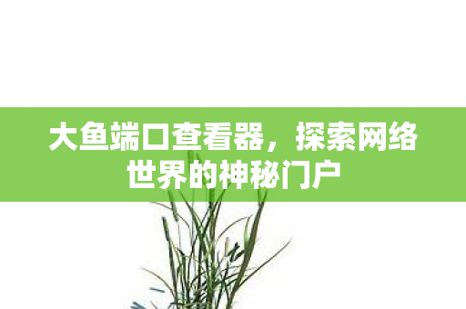 探索网络世界的神秘门户图片