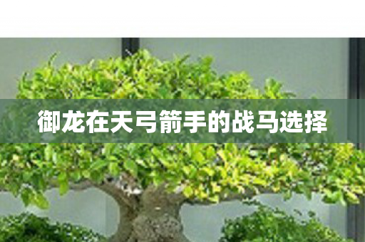 御龙在天弓箭手的战马选择图片