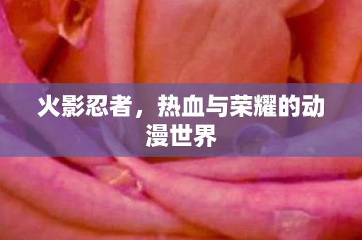 热血与荣耀的动漫世界图片