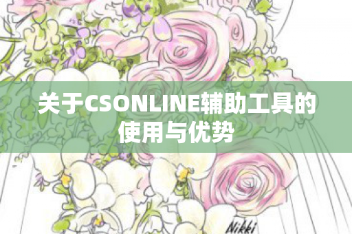 关于CSONLINE辅助工具的使用与优势图片