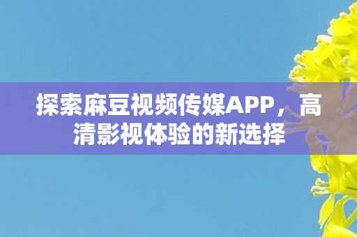 探索麻豆视频传媒APP图片