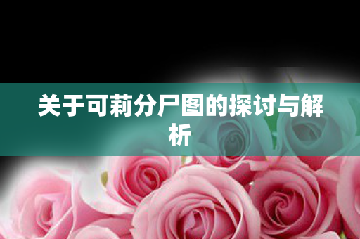 关于可莉分尸图的探讨与解析图片