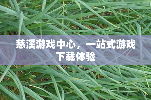 一站式游戏下载体验图片