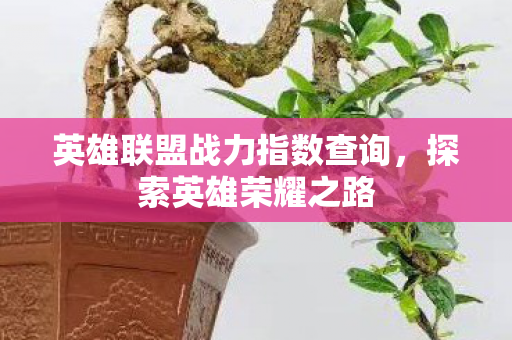 英雄联盟战力指数查询图片