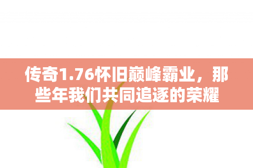 那些年我们共同追逐的荣耀图片