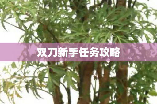 双刀新手任务攻略图片