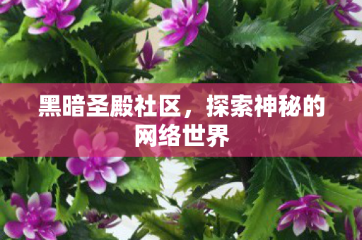 探索神秘的网络世界图片