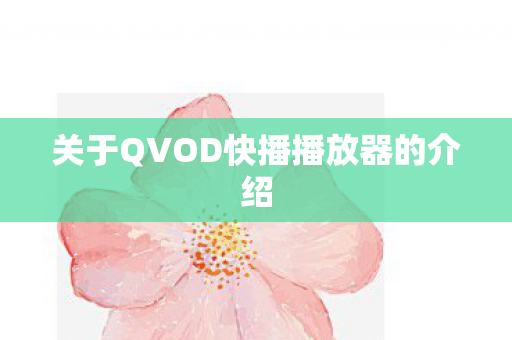关于QVOD快播播放器的介绍图片