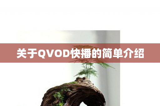 关于QVOD快播的简单介绍图片
