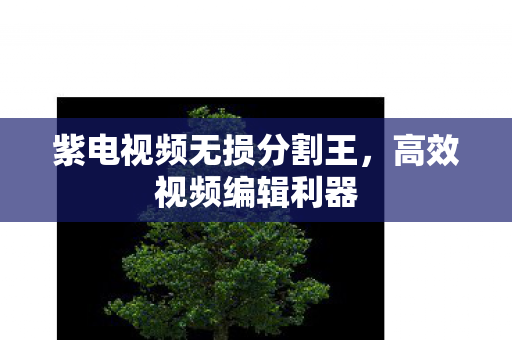 紫电视频无损分割王图片