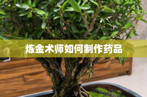 炼金术师如何制作药品图片