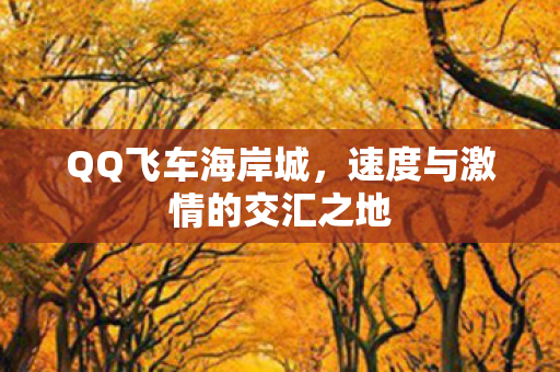 速度与激情的交汇之地图片
