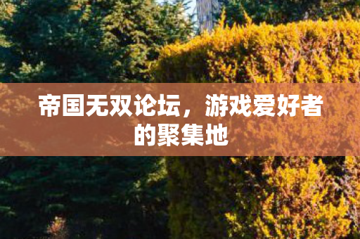 游戏爱好者的聚集地图片