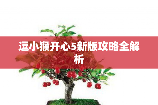 逗小猴开心5新版攻略全解析图片