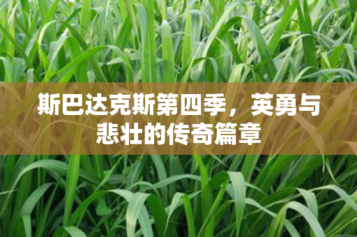 英勇与悲壮的传奇篇章图片